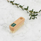 Small nail brush