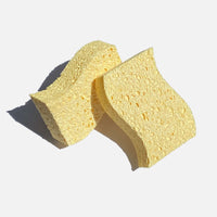 Biodegradable Kitchen Sponges - Single Sponge/Pack of 2. Eco Living