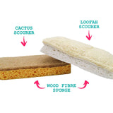 Sponge scourers. 2 pack  - compostable