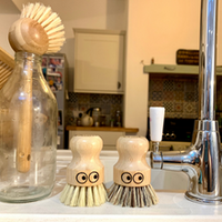 Pot scrubber x 2- with eyes